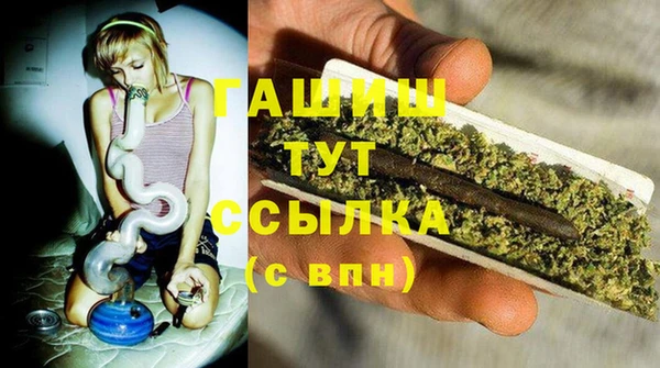 сатива Арсеньев
