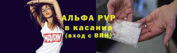 мяу мяу мука Аркадак