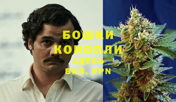 сатива Арсеньев