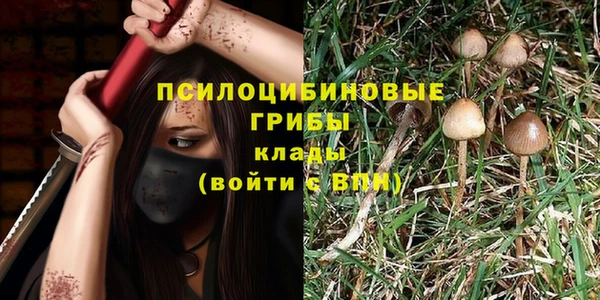 мяу мяу мука Аркадак
