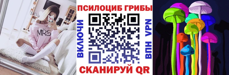 где купить наркоту  Приозерск  Галлюциногенные грибы мицелий 